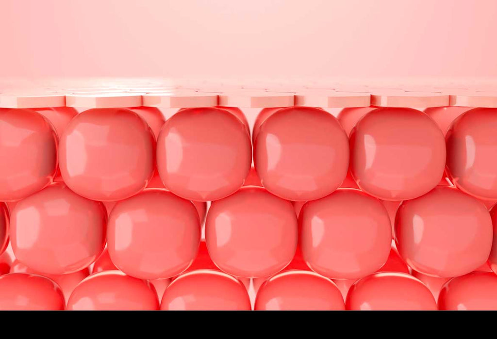 Renouvellement de la peau : techniques de régénération dermatologique